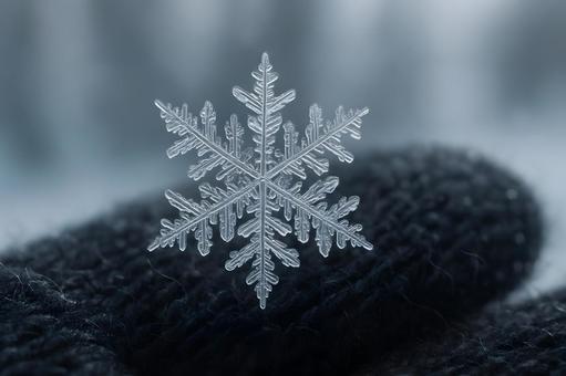 繊細な雪の結晶 繊細な雪の結晶の写真