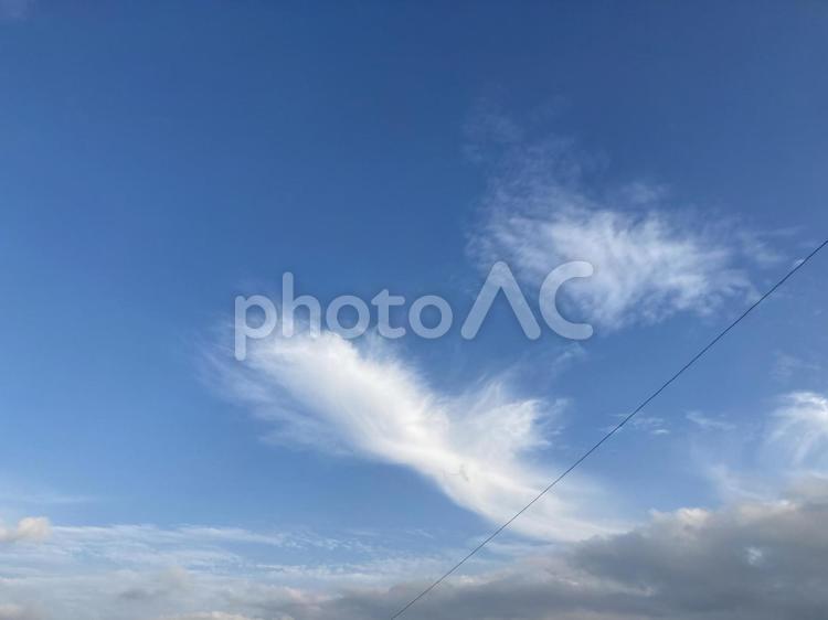 羽ばたけ！世界へ 青空,天気,晴れの写真素材
