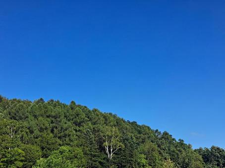 快晴の空 快晴の空の写真