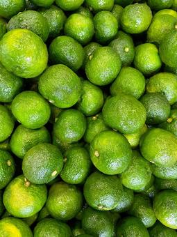 青柚子の集合写真のアップ 柚子,青柚子,柚子の集合写真の写真素材