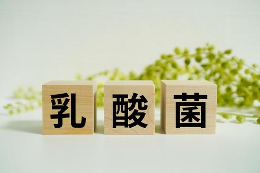 木製ブロックに『乳酸菌』の文字 木製ブロックに『乳酸菌』の文字 乳酸菌,腸活,健康の写真素材