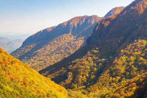 二口渓谷の紅葉⑽ 秋,紅葉,山の写真素材