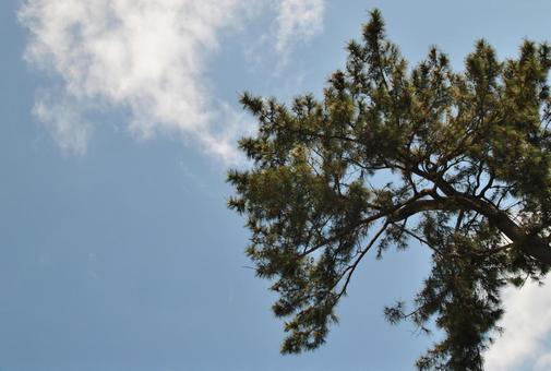 空 空の写真