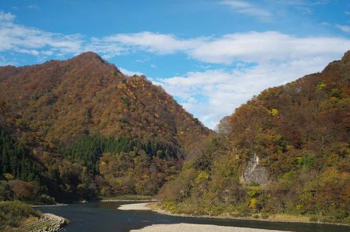 川沿いの紅葉 紅葉,秋,秋晴れの写真素材
