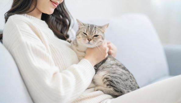 かわいい猫が女性に抱かれている様子 かわいい猫が女性に抱かれている様子の写真