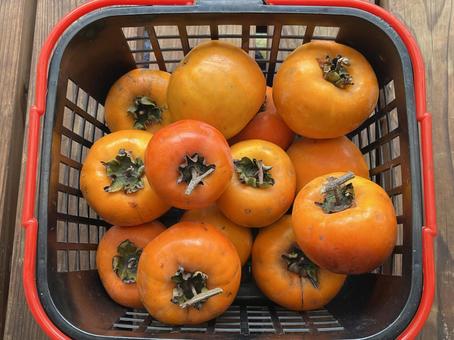 かごに入った柿 柿,甘柿,渋柿の写真素材