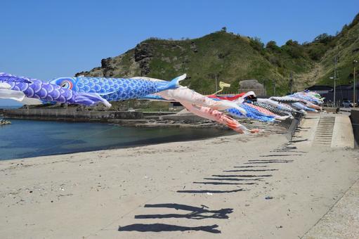 海岸で泳ぐ鯉のぼり 鯉のぼり,こいのぼり,鯉幟の写真素材