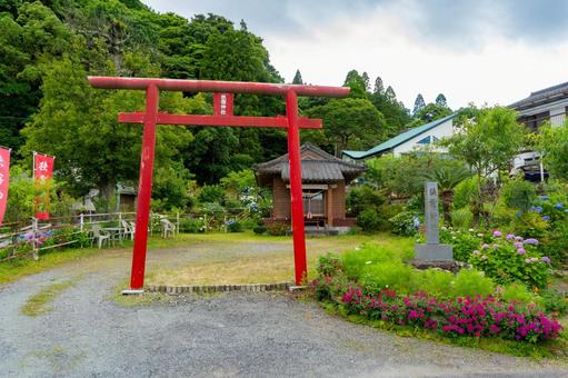 姶良市の狹霧神社の風景 姶良市の狹霧神社の風景 姶良市,狹霧神社,神社の写真素材