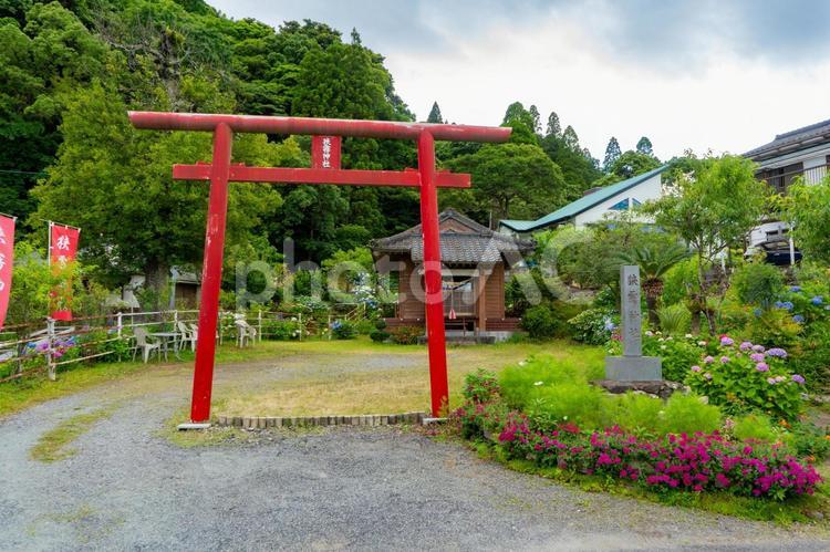 姶良市の狹霧神社の風景 姶良市,狹霧神社,神社の写真素材