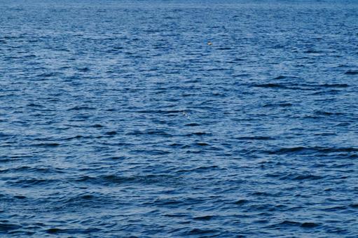 Photo, water surface, sea surface, sea, 