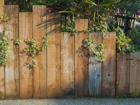 ツタが絡まる木製のフェンス 春,風景,つたの写真素材