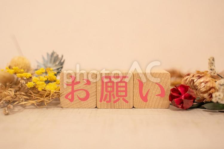 お願い　文字素材 お願い,注意事項,約束の写真素材