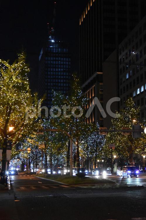 2024御堂筋イルミネーション 御堂筋,イルミネーション,夜景の写真素材