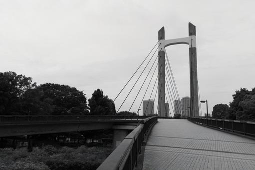 木場公園 モノクロ 木場公園 モノクロの写真