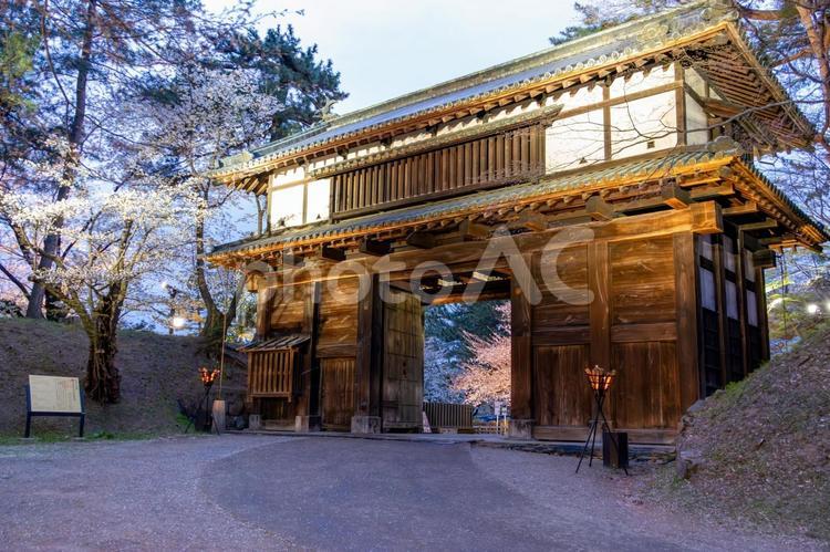 弘前城二の丸東門のライトアップと桜 ライトアップ,弘前城,二の丸の写真素材