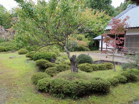 会津武家屋敷 家老屋敷 中庭 会津武家屋敷,会津,武家屋敷の写真素材