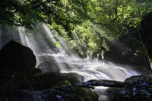 熊本-【菊池渓谷の光芒】 熊本-【菊池渓谷の光芒】 熊本,菊池渓谷,川の写真素材