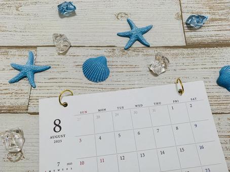 8月カレンダー 貝殻 8月カレンダー 貝殻 8月,8月カレンダー,カレンダーの写真素材