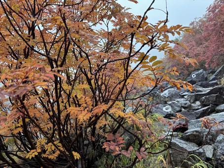 涸沢カール登山中の景色 涸沢カール登山中の景色の写真