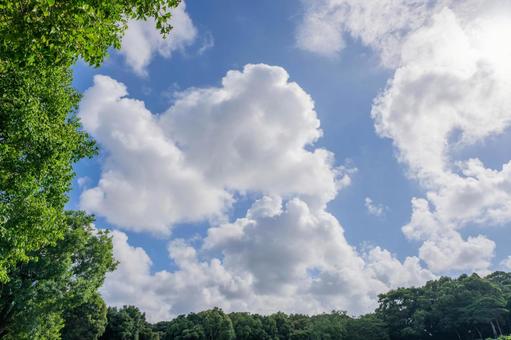 Summer blue sky and white clouds, JPG