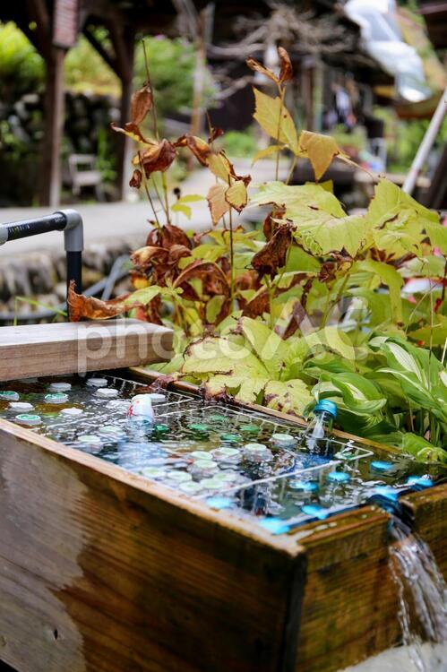 ラムネを冷やして ラムネ,水,涼しげの写真素材