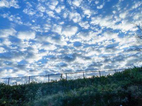 羊雲 羊雲の写真