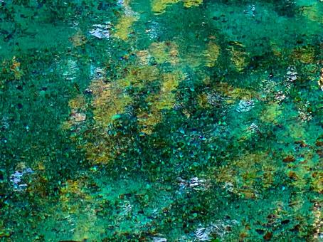 山口県美祢市　別府弁天池の写真