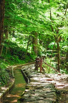 付知峡の自然風景 付知峡の自然風景の写真