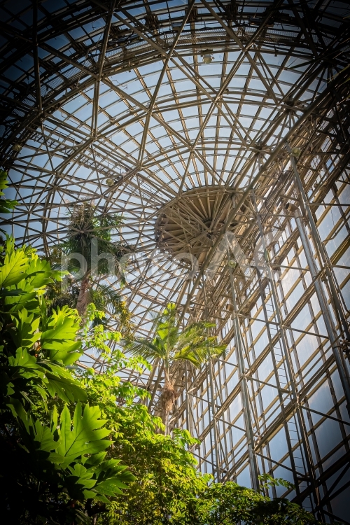 東京　江東区　夢の島熱帯植物館 風景,景色,東京の写真素材