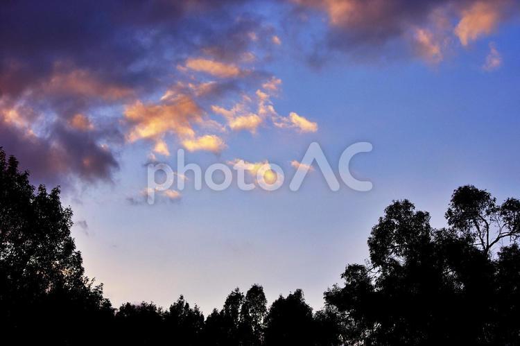 ピンクの雲とシルエットの森 茜雲,雲,夕景の写真素材
