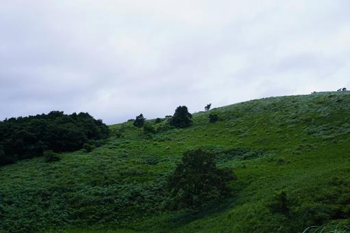 自然の風景 自然の風景の写真