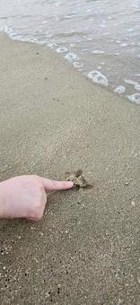 砂ぐりぐりの写真