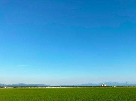 田舎の風景・田んぼと夏の空3 田舎の風景・田んぼと夏の空3の写真
