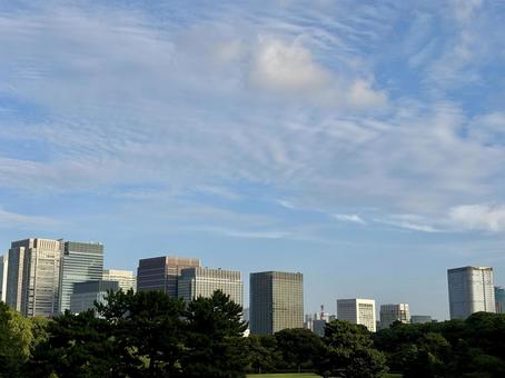 東京のビル群と空 東京のビル群と空の写真