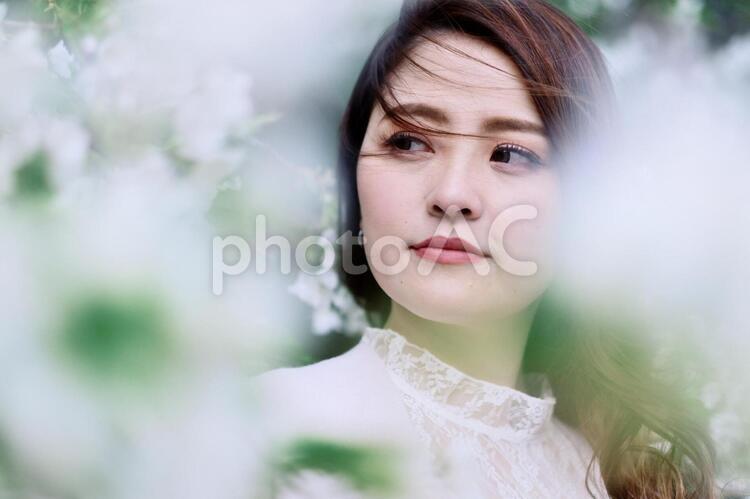 桜と派手目なメークの日本人女性18 女性,日本人,アジア人の写真素材