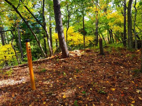 塩田平権現山山頂 塩田平,権現山,山頂の写真素材