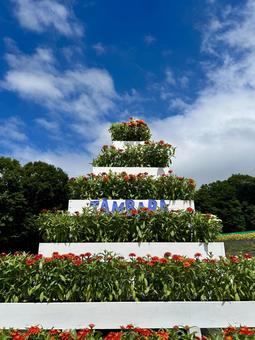 たんばらフラワーパークへようこそ たんばら,フラワーパーク,風景の写真素材