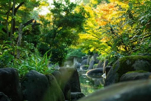 秋の公園 秋の公園の写真