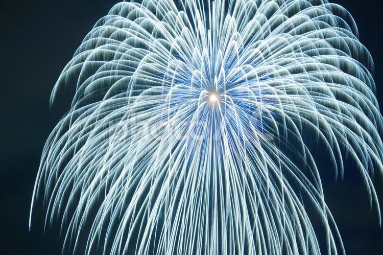 大きな花火 花火,夏,夜空の写真素材
