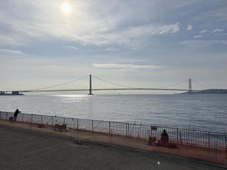 海釣り 釣り,海,橋の写真素材