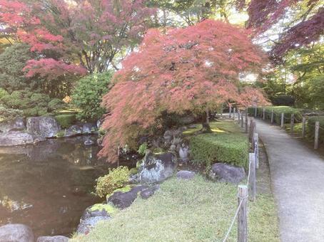 紅葉 山形市もみじ公園,秋,綺麗な紅葉の写真素材