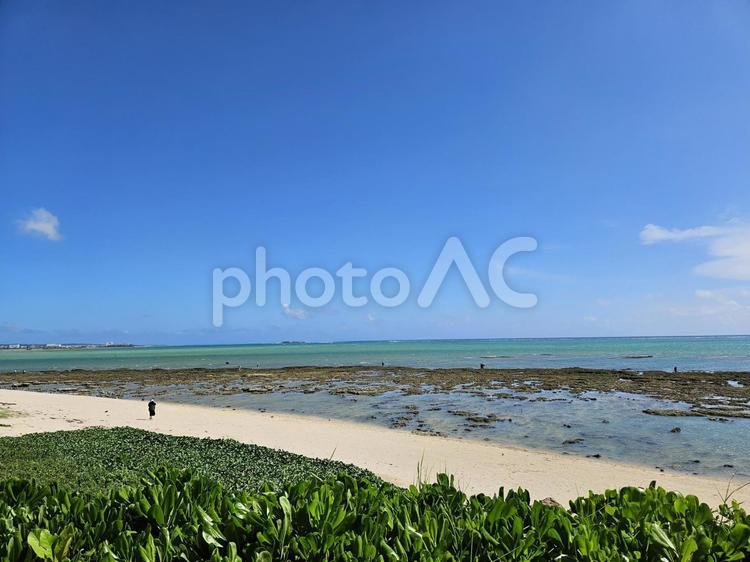 海 海,沖縄,海岸の写真素材
