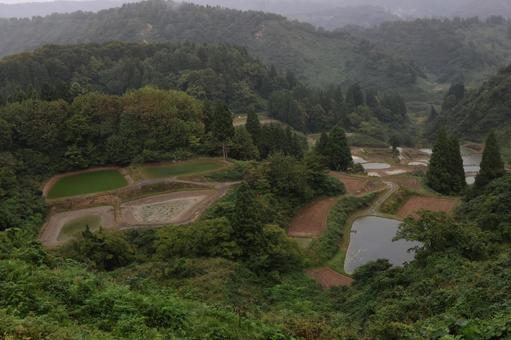 山古志棚田 山古志棚田 山古志,棚田,風景の写真素材