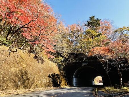 紅葉のトンネルと秋の道路 紅葉,トンネル,秋の写真素材