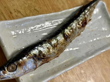 秋刀魚 秋刀魚 秋刀魚,秋,魚の写真素材