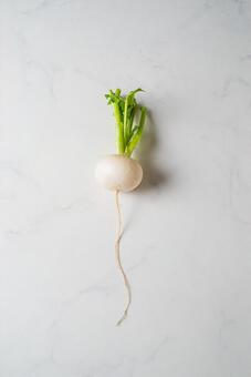 カブの縦の写真 かぶ,株,根菜の写真素材