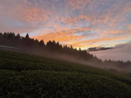 雲海 雲海,朝日,日の出の写真素材