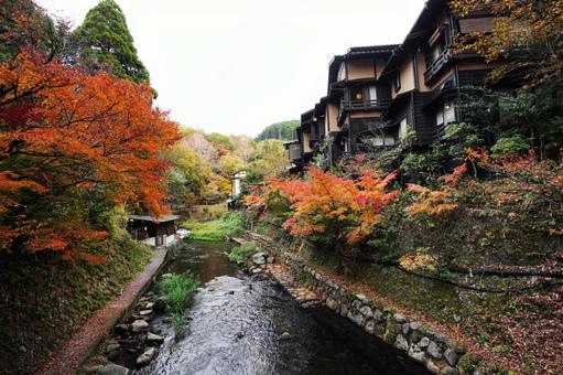 熊本 黒川温泉街を流れる田の原川4 黒川温泉,紅葉,モミジの写真素材