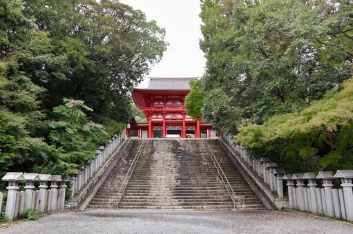 近江神宮 近江神宮,神社,滋賀の写真素材
