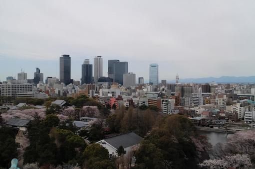 View from Nagoya Castle Tower 3, JPG